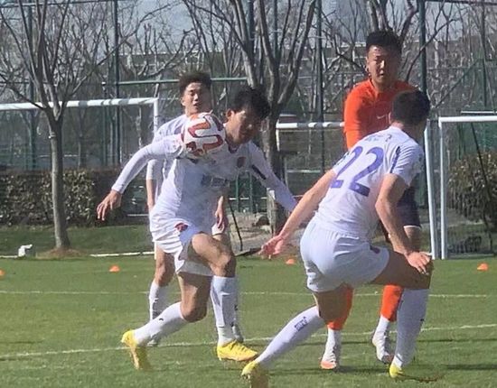 国产一区二区视频在线观看